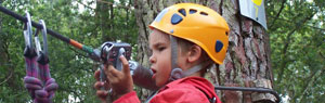 aventure dans les arbres