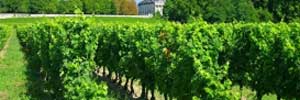 viinimatkat Bordeaux