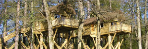 tree houses