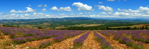 Provence